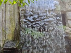 -青青世界