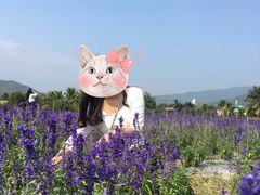 -亚龙湾国际玫瑰谷