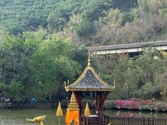 -西双版纳原始森林公园