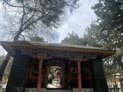 -罗布林卡