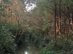 -同里国家湿地公园