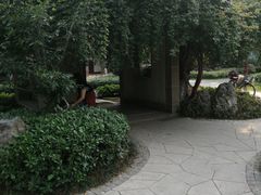 -郑和公园