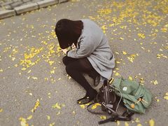 -三里屯东五街银杏大道