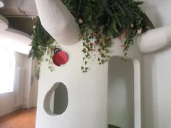 -乐融儿童之家早教托育(燕郊校区)