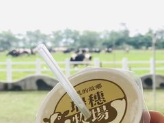 -瑞穗牧场