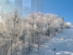 -亚布力新体委滑雪场