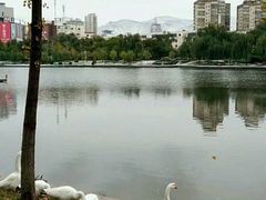 -雁滩公园
