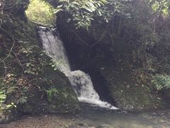 -夏霖九天银瀑风景区