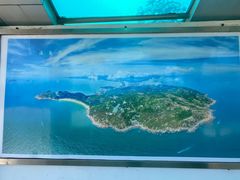 -广东惠东海龟国家级自然保护区