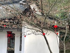 -上海佘山国家森林公园天马山园