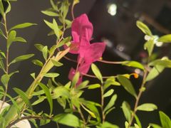 -江南雅厨(李公堤店)