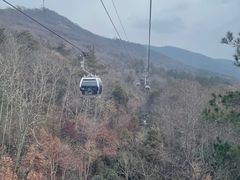 -紫金山山顶公园
