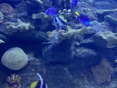 -左海海底世界