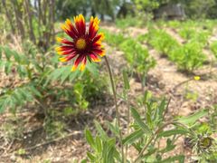 -白水寺森林公园