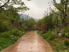 -杭州开元森泊度假乐园