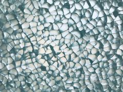 -麦当劳(电白服务区店)