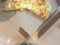 -达美乐比萨(国瑞北路店)