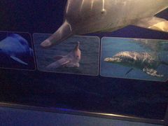 -白鹤梁水下博物馆