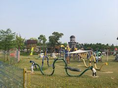 -上海长兴岛郊野公园