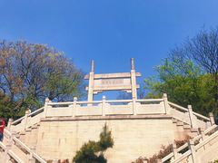 -紫金山山顶公园