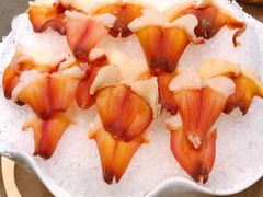 -椰子营·椰子鸡火锅(万象里店)