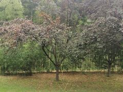 -苏州环秀晓筑养生度假村