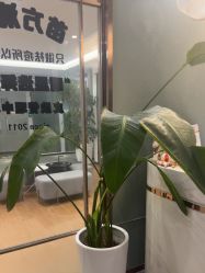 -苗方清颜·祛痘皮肤管理