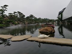 -罗红摄影艺术馆