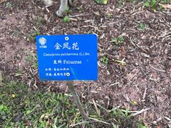 -中国科学院西双版纳热带植物园