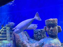 -北海海底世界