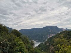 -神农山景区