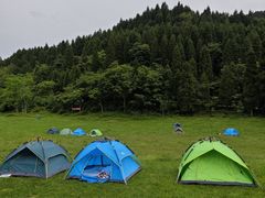 -武陵山森林公园