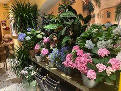 -萤火虫咖啡(后海店)