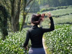 -泰山风景名胜区-普照寺