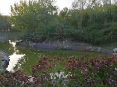 -大兴滨河森林公园