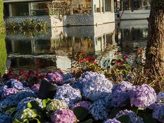 -荔湾湖公园