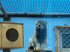 -青藏高原野生动物园