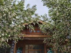 -北京西山国家森林公园