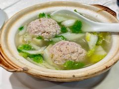 -丁老爷子苏香圆