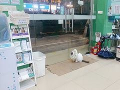 -瑞派动物医院·猫专科·至诚(江南中分院)