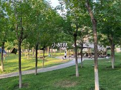 -爪吧宠物乐园·宠物泳池(温榆河示范区店)