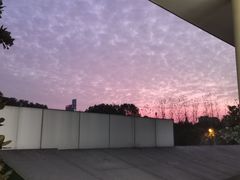 -瑶湖郊野森林公园