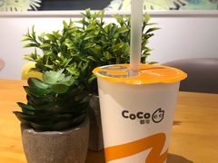 -CoCo都可(西湖文化广场店)