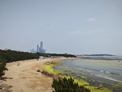 -青岛第二海水浴场