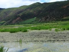 -泸沽湖国家级风景名胜区走婚桥