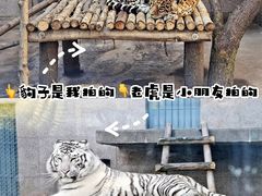 -西安秦岭野生动物园