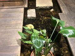 -邈墨茶馆(大兜路1号店)
