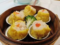 -和乐喜点(宝岗大道店)