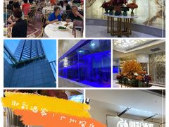 -御彩酒家(东风东路店)
