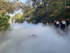 -北京西山国家森林公园